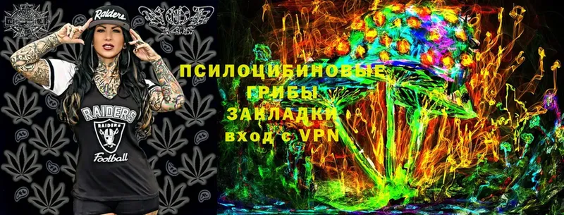 площадка телеграм  Кириши  Псилоцибиновые грибы Cubensis  хочу  